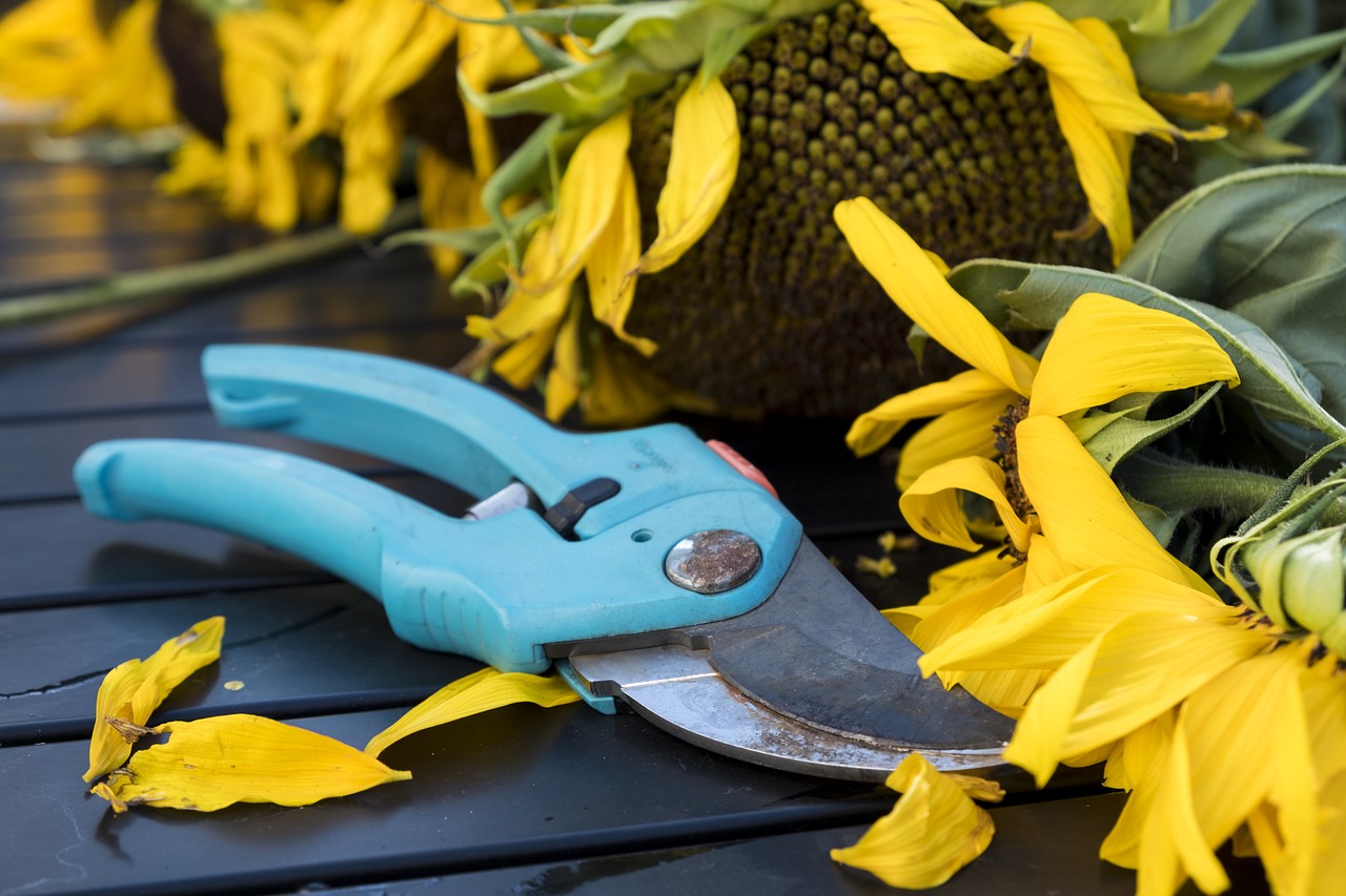 Garden Gadgets