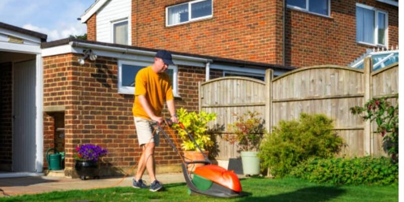 How to Look After Your Lawn: 7 Top Lawn Care Tips
